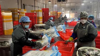 滨州60余家渔业企业开足马力备战春节水产品市场供应